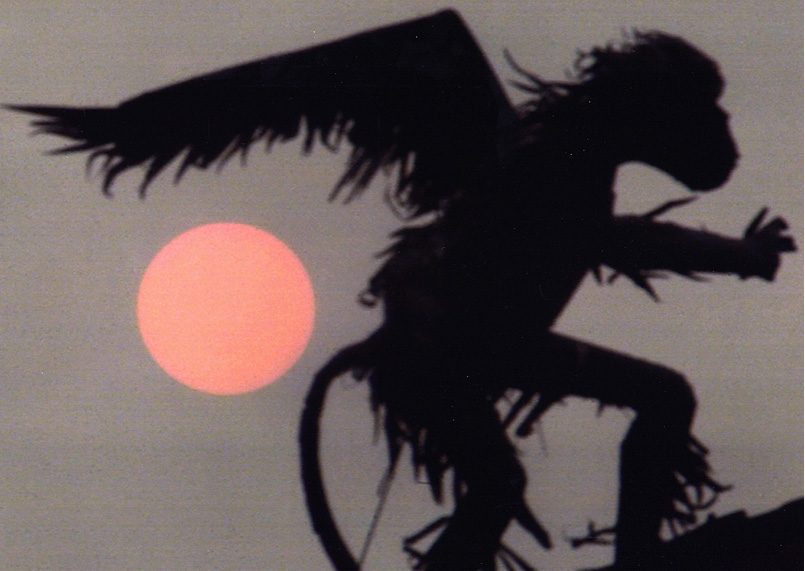 winged monkey at sunset - Huoppi Photo